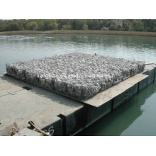 Venta caliente 8X10 Gabion colchón (HPZS5001)